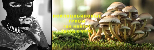 mdpv Богородск