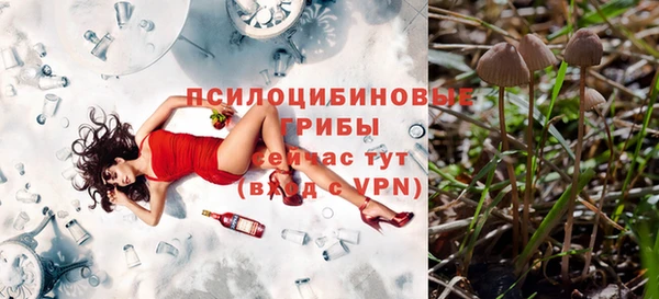 mdpv Богородск
