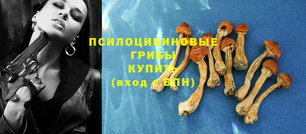 синтетический гашиш Богданович
