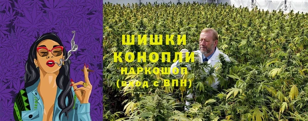mdpv Богородск