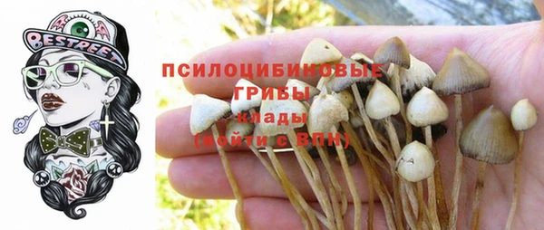 синтетический гашиш Богданович