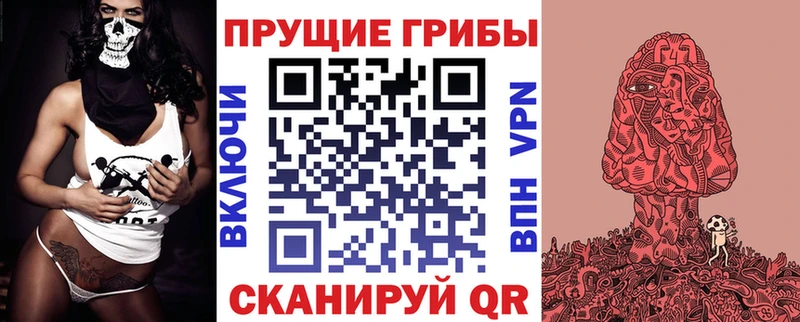 Псилоцибиновые грибы мухоморы  blacksprut вход  Светлогорск 